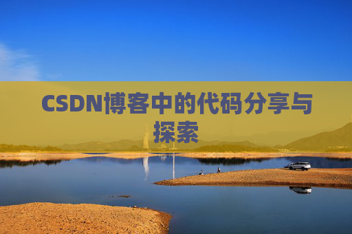 CSDN博客中的代码分享与探索